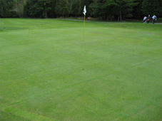 This green was only out of play for a day and a half while work was in progress. The photo was taken 30 minutes after completion.